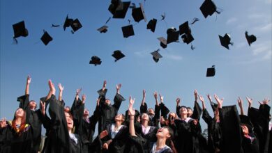 Photo of Career Options after D.Pharm and B.Pharm